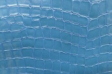 Blue Alligator Crocodile Gator Crock Print Patent Cow Hide Leather Skin pa9