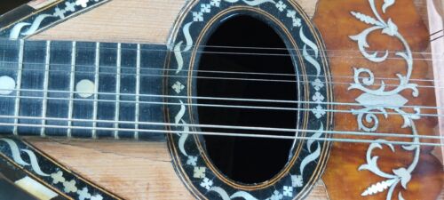 N.862 Bellissimo Mandolino Vecchio Dall'Italia - Foto 2 di 22