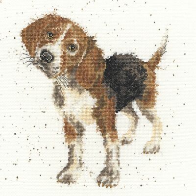 Kreuzstich Packung Hund Beagle XHD12 bothy threads