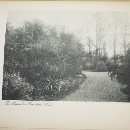 Arthur Rackham Illustrator Our Gardens By S Reynolds Hole 4th Edn 1901 - Imagen 9 de 11