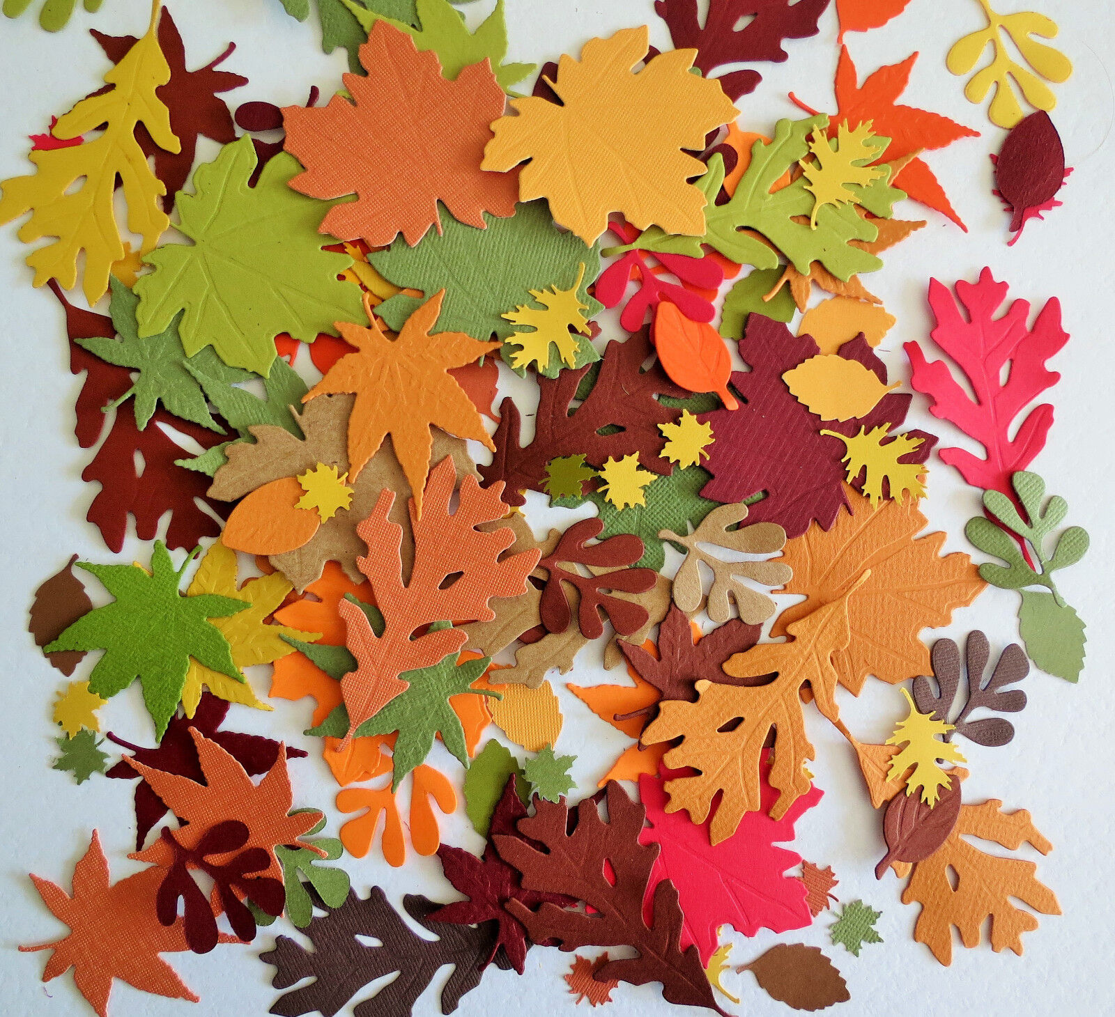 Fall Autumn Award-winning store Leaves Punch Paper Die Cut New Free Shipping Scrapbook 100 Embe Set of