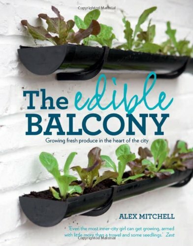 Edible Balcony: Growing Fresh Produce in the Heart of the City B