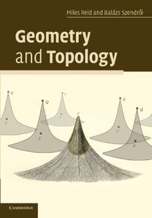 Geometry and Topology von Reid, Miles | Buch | Zustand sehr gut