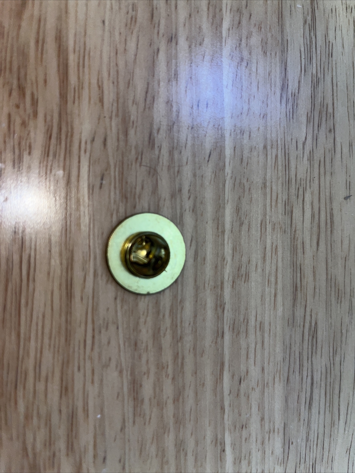 Girl Scouts World Association PIn eBay