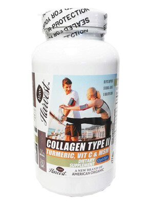 RawHarvest Collagen Type II With Turmeric, Vitamin C, MSM 240 Capsules 1 Pack