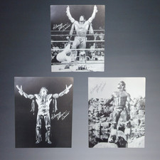 Ultimate Warrior Cards and Memorabilia Guide 54