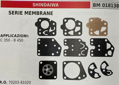 GREENSTAR - Kit Riparazione Membrane E Guarnizioni Carburatore - Foto 12