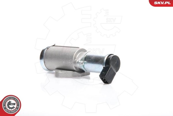 Esen SKV 08SKV219 Leerlaufregelventil, Luftversorgung FüR Ford,Renault-image