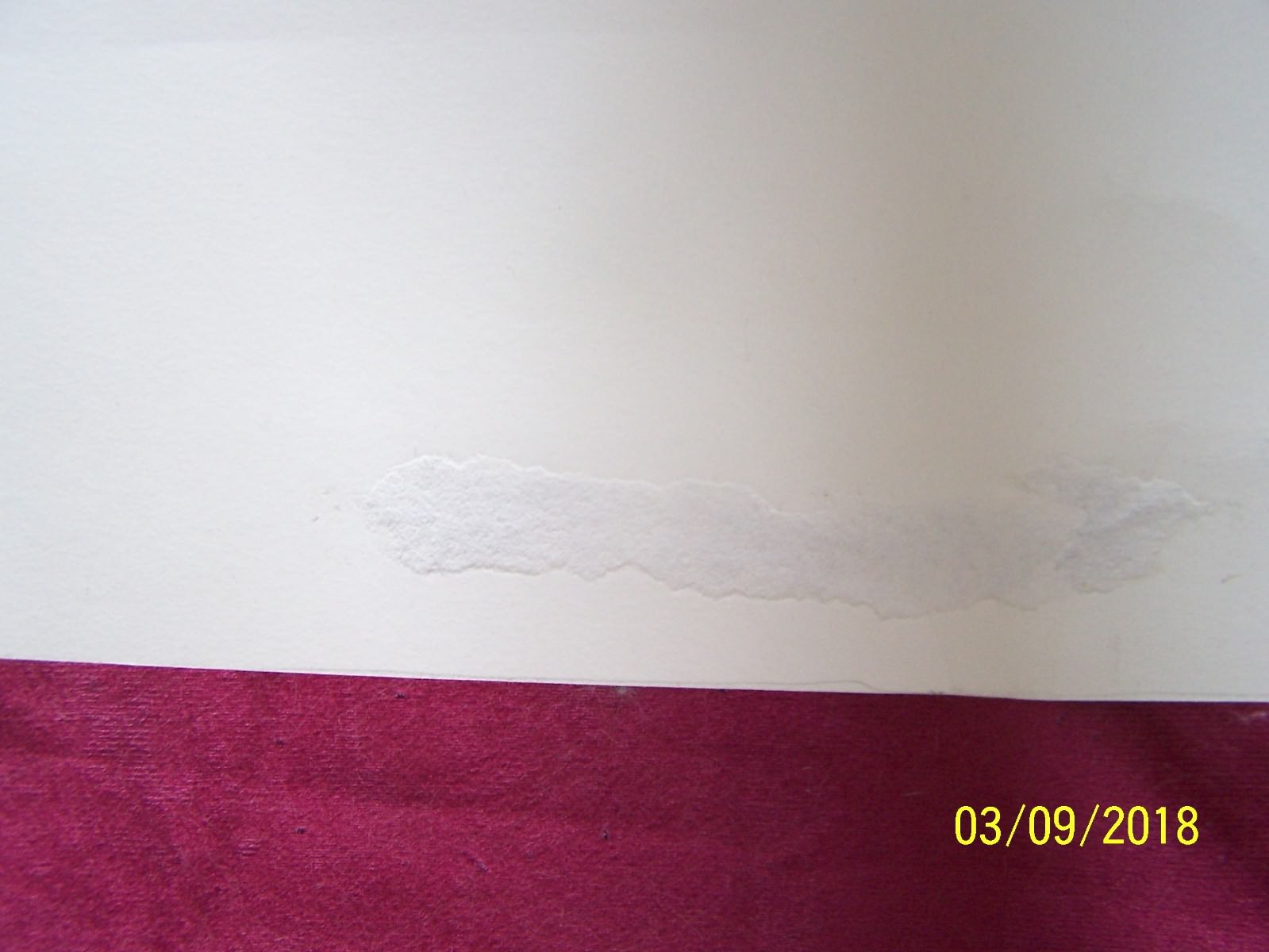 Picture 5 of 8