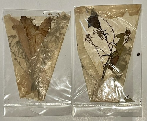 1930’s Todesanzeige Briefe, Telegramme, Foto, Trauerblumen, Ausschnitte - Bild 5 von 12