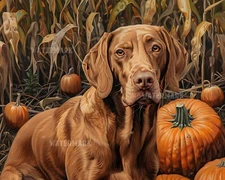 Vizsla Dog Among Pumpkins 8x10 Matte Print