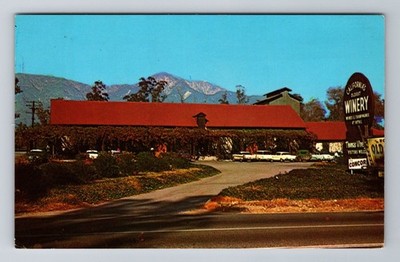 Cucamonga CA-California, Thomas Vineyards, CA Oldest Vineyards Vintage Postcard