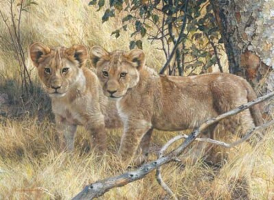 Carl Brenders - Young Explorers - Lions - S/N Canvas Giclee Signed MINT 21x29