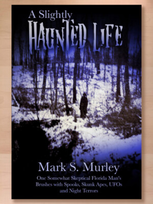 A Slightly Haunted Life: One Somewhat Skeptical Florida Man's Brushes