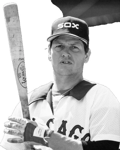 Carlton Fisk MLB Posters