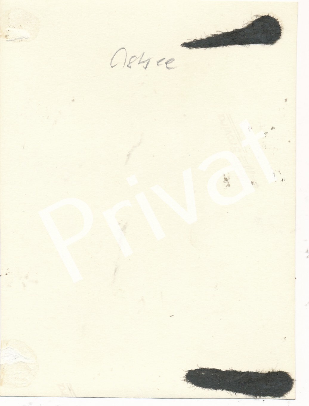 Photo WK2 Schnellbootflottille VII Holiday Beauty Beach Basket Ostsee