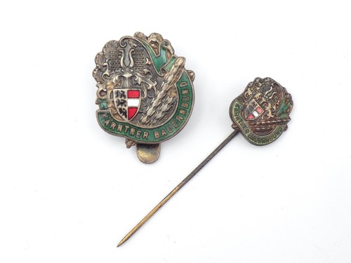 Original 1919 Austrian Carinthian Farmers' Association Party Member Badge Set