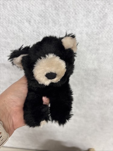 American Girl Plush Lot Of 3 Cat Wolf Bear - Picture 7 of 17