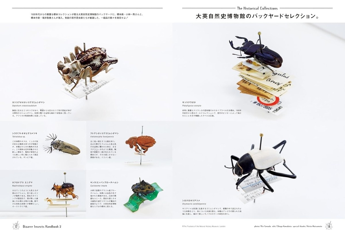 BRUTUS No.1012 August 1, 2024 Bizarre Insects Handbook vol.2