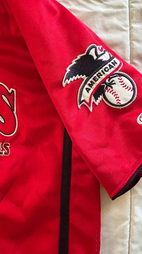 True Fan MLB Pre-Owned Los Angeles Angels Baseball Youth Jersey Youth Sz: L - Picture 6 of 7