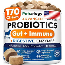 Probiotics for Dogs 170 Chews Dog Digestive Enzymes Prebiotics Support Gut