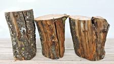 3 Apple Wood Stick Log Chunk 2 3/4 3"D 5"L Spalted Crotch Driftwood Blank Craft