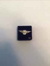 10year NACA Pin Sterling Silver NACA Is The Precursor To NASA Became NASA 1958