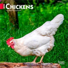 Chickens | 2026 7x14" (Hanging) Monthly Mini Wall Calendar