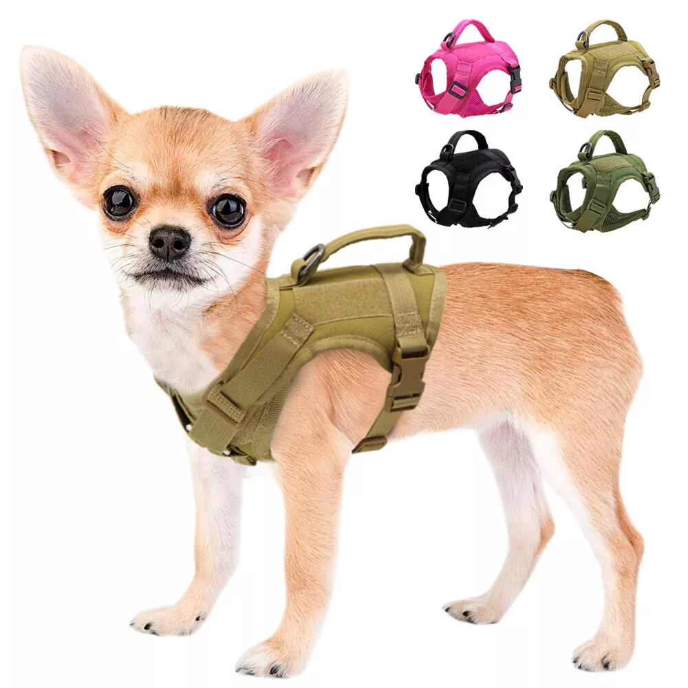 Military Molle Dachshund Tactical Vest | pettacticalharness