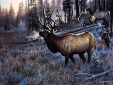 Cynthie Fisher " A Worthy Opponent" Elk  Print  16" x 12"