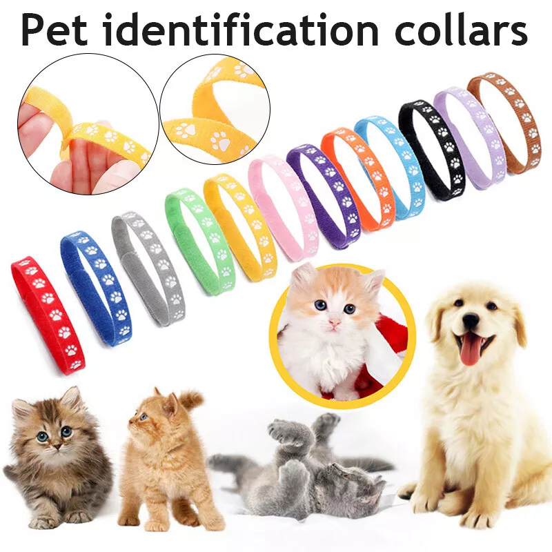 12PC New Born Whelping ID Bands Puppy Kitten Identification