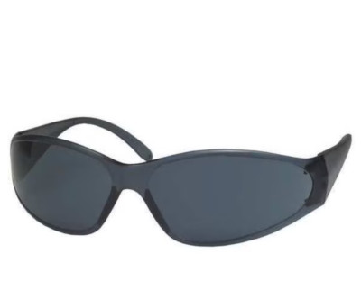 DeltaPlus BOAS Safety Glasses, Gray Frame with Gray Lens, Dozen (15280)