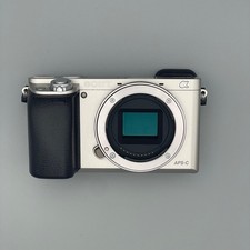 Sony Alpha A6000 24.3MP Digital Camera - Silver (Kit with 18-55 mm)