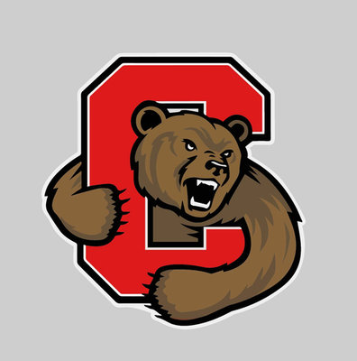 #ad Sticker Cornell Big Red Logo Die Cut Laminated Vinyl Decal $9.70