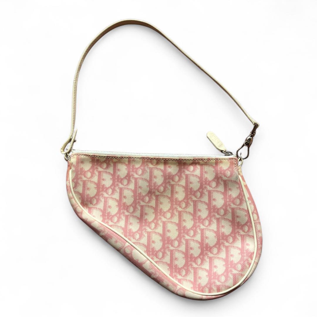 Christian Dior Trotter Saddle Bag Pink 027 | eBay