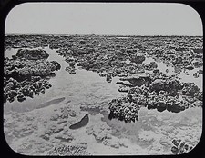 Glas Magic Lantern Slide THE GREAT BARRIER REEF NO41 C1890 PHOTO AUSTRALIA