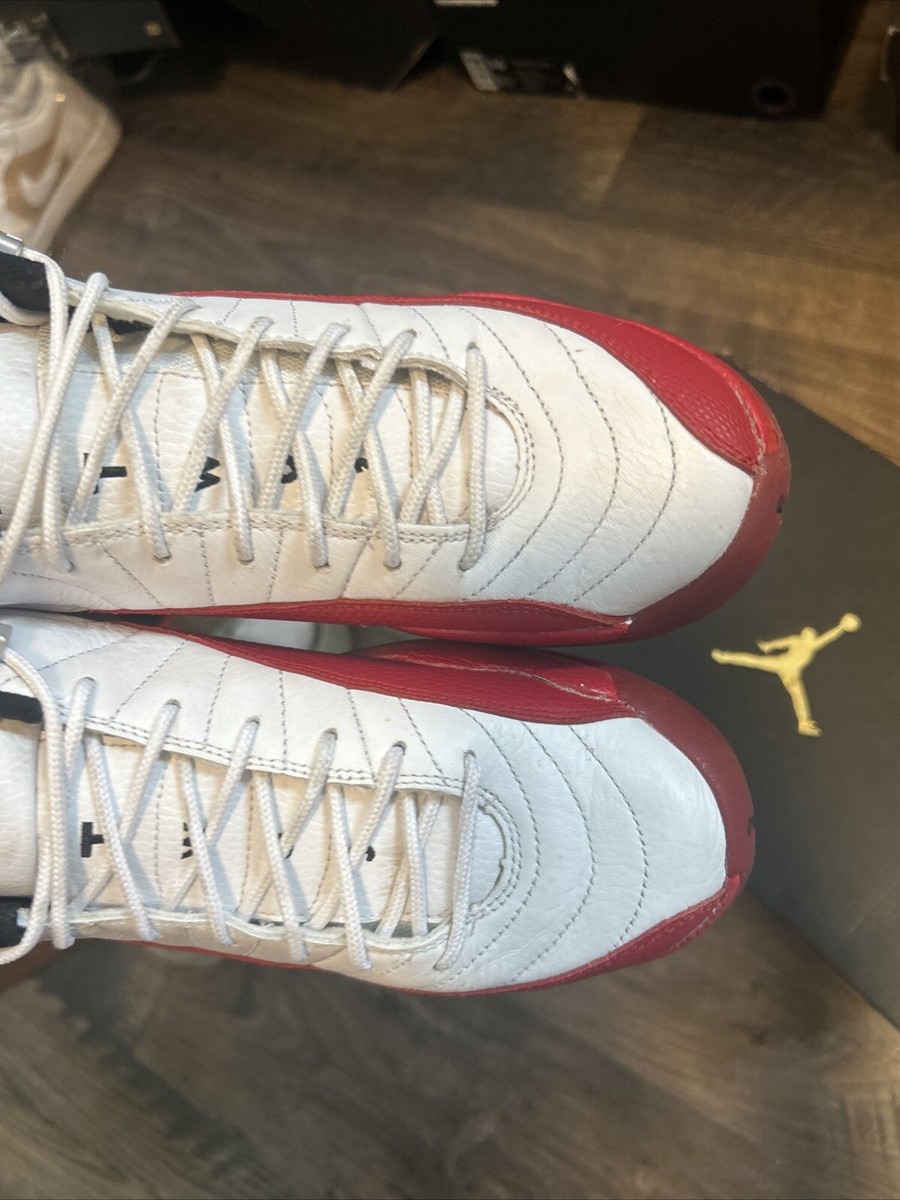 Air Jordan 12 \