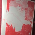 Kaikan Phrase Anime & Manga Illustration Print Poster Sheet Multicolor — photo 8
