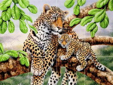 leopard mother baby cub jungle wildlife ceramic tile mural backsplash