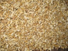 Cretaceous - Eocene Shark Tooth fossils 50g of teeth per lot (approx 50 teeth)