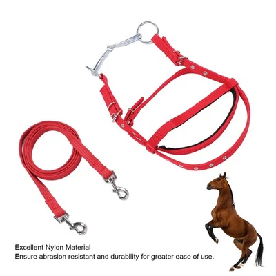 Horse Rein Horse Training Aid Rein Nylon Good Compatibility Abrasion Resistant - Image 1 of 4