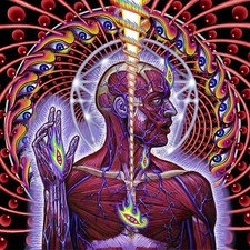 TOOL Lateralus BANNER HUGE 4X4 Ft Fabric Poster Tapestry Flag album cover art