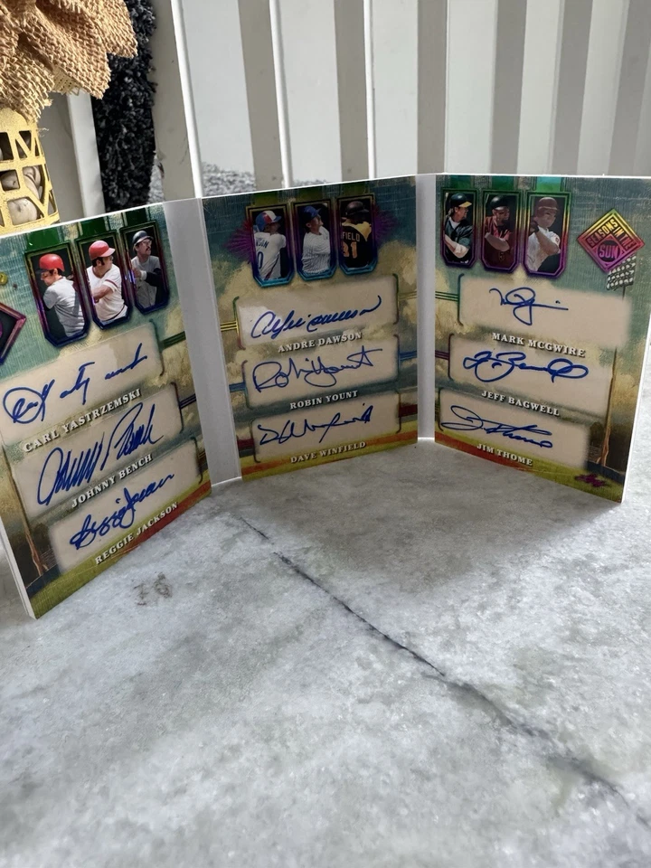 2025 LEAF SEASONS IN THE SUN - CLOUD 9 - AUTO BOOKLET HW TO 8 - Image 3 of 3