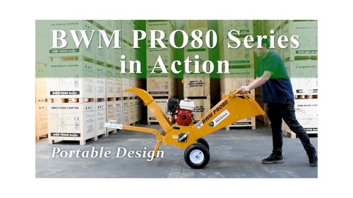 BWM PRO80 Wood Chipper with Briggs & Stratton 6.5hp Engine (Self Feeding) - Video 1 of 1