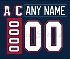 Saginaw Spirit Customized Number Kit For 2002-2009 Away Uniform