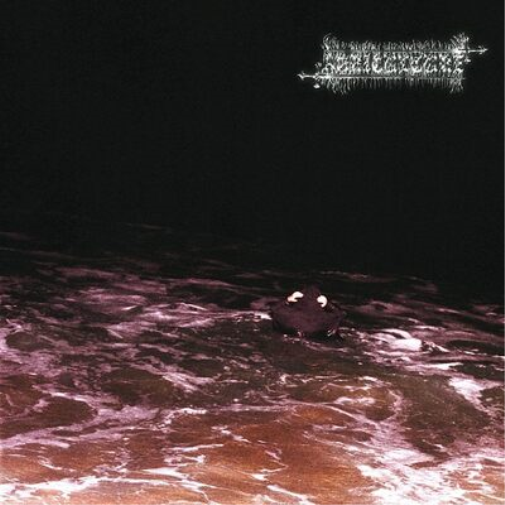 Agriculture Agriculture (Vinyl LP) 12" Album