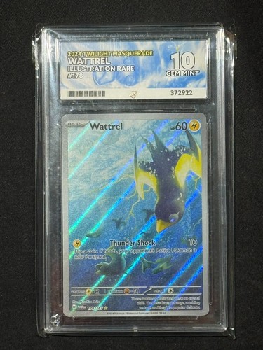 Wattrel graded ACE 10 for sale on eBay