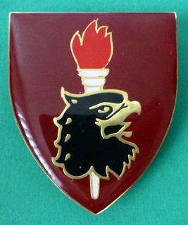 SOUTH AFRICAN ARMY AIRBORNE PARACHUTE TRAINING SCHOOL AFRICA PARA ARM BADGE F/R