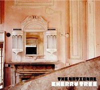 Cherry Tree Ep - Vinyl Record 12 - G3Z