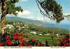 ISLA DE SAN MIGUEL DE LA PALMA, Mazo, Santa Cruz de la Pal Postcard